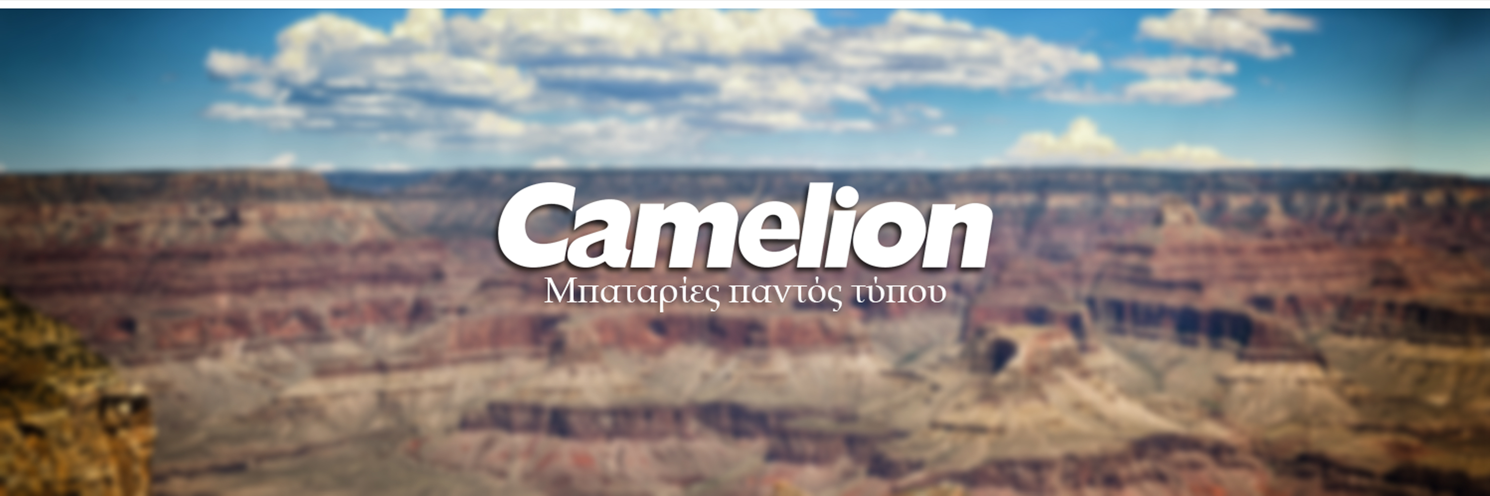 Camelion Batteries